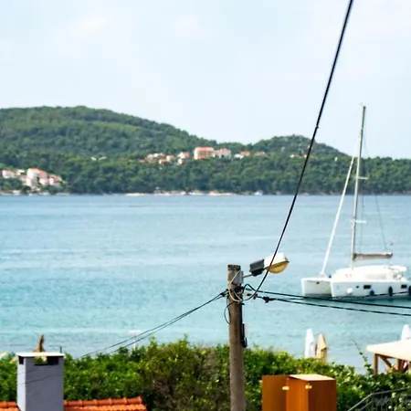 Calma * トロギール